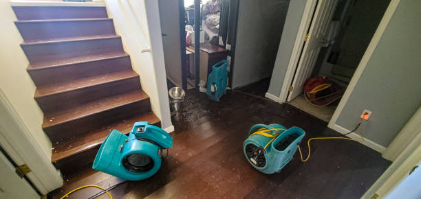 Best Carpet water damage restoration  in Spirit Lake, ID
