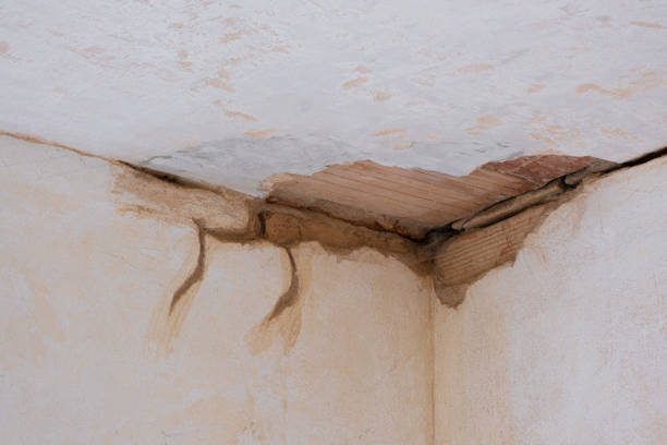 Best 24-hour water damage restoration  in Spirit Lake, ID