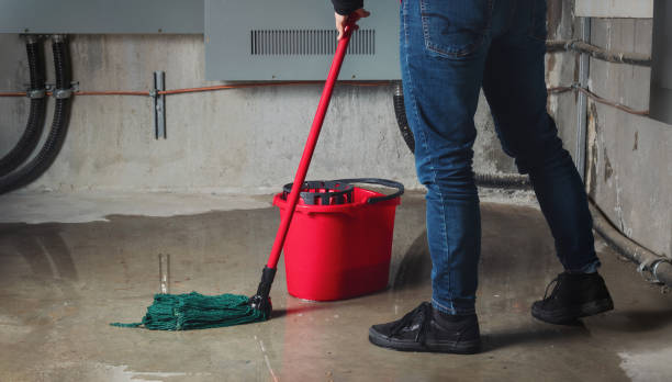 Best Basement water damage restoration  in Spirit Lake, ID