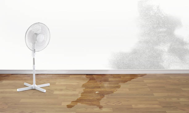 Best Flood damage cleanup  in Spirit Lake, ID