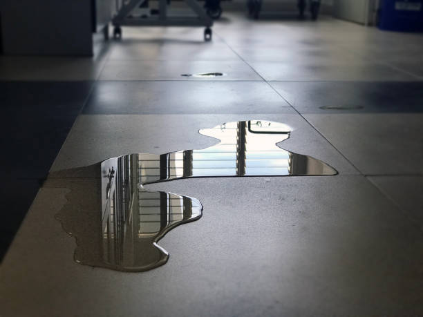Best Water damage restoration near me  in Spirit Lake, ID