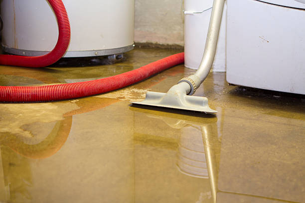 Best Commercial water damage restoration  in Spirit Lake, ID