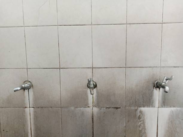  Spirit Lake, ID Water damage restoration Pros