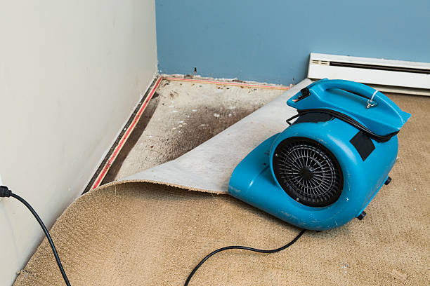 Best Residential water damage restoration  in Spirit Lake, ID